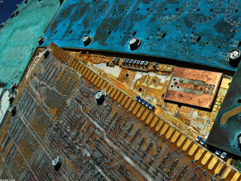 Crucial DDR5-4800 32GB