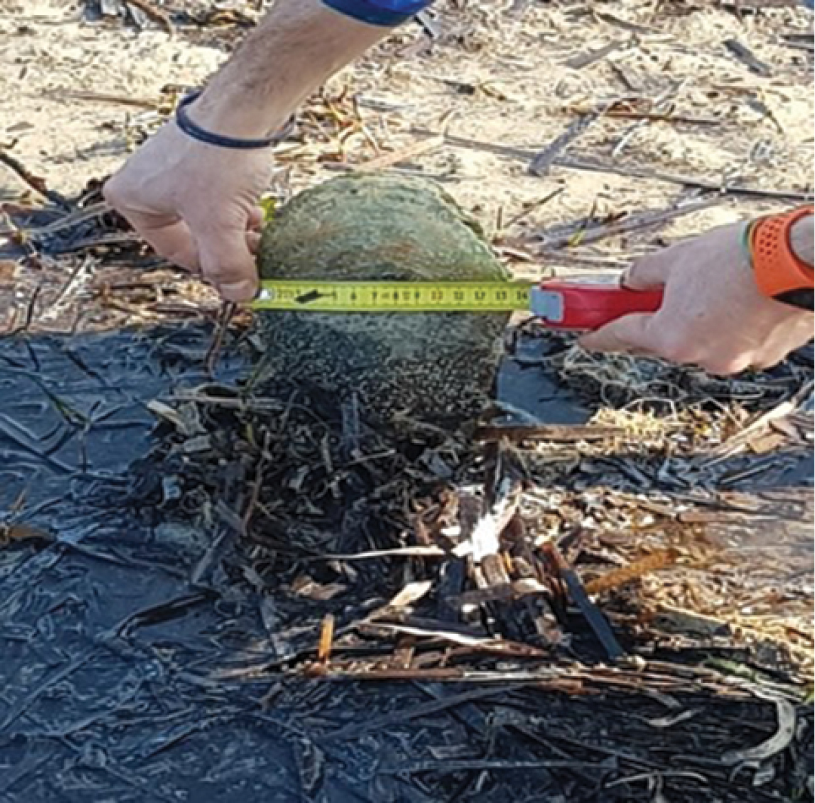 顔認証システム・識別AIのイメージ画像