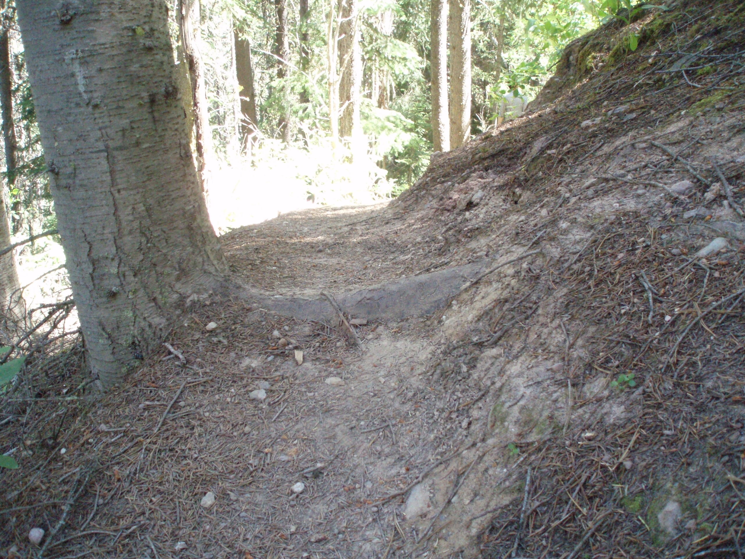 登山・ハイキングのイメージ